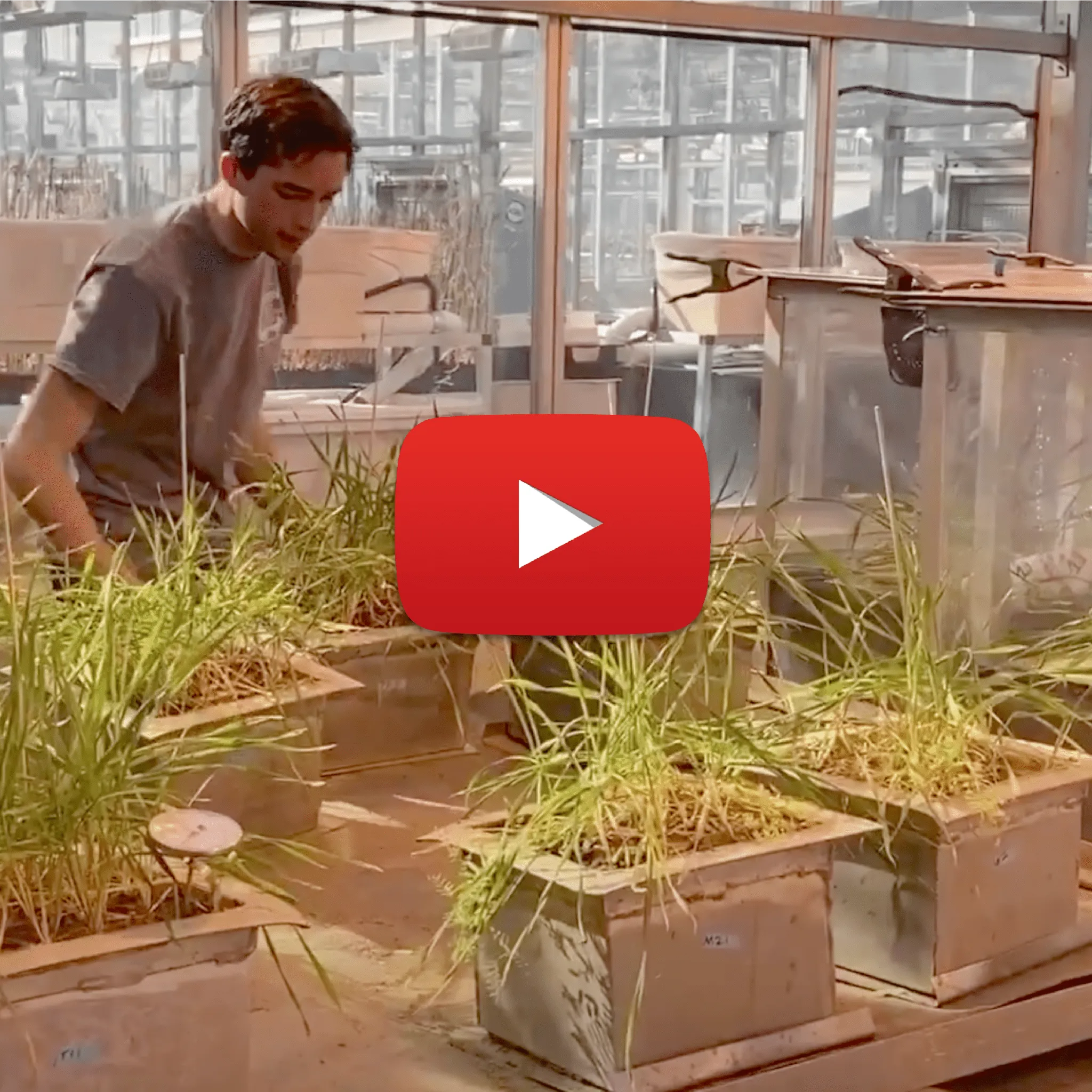 man near some plants