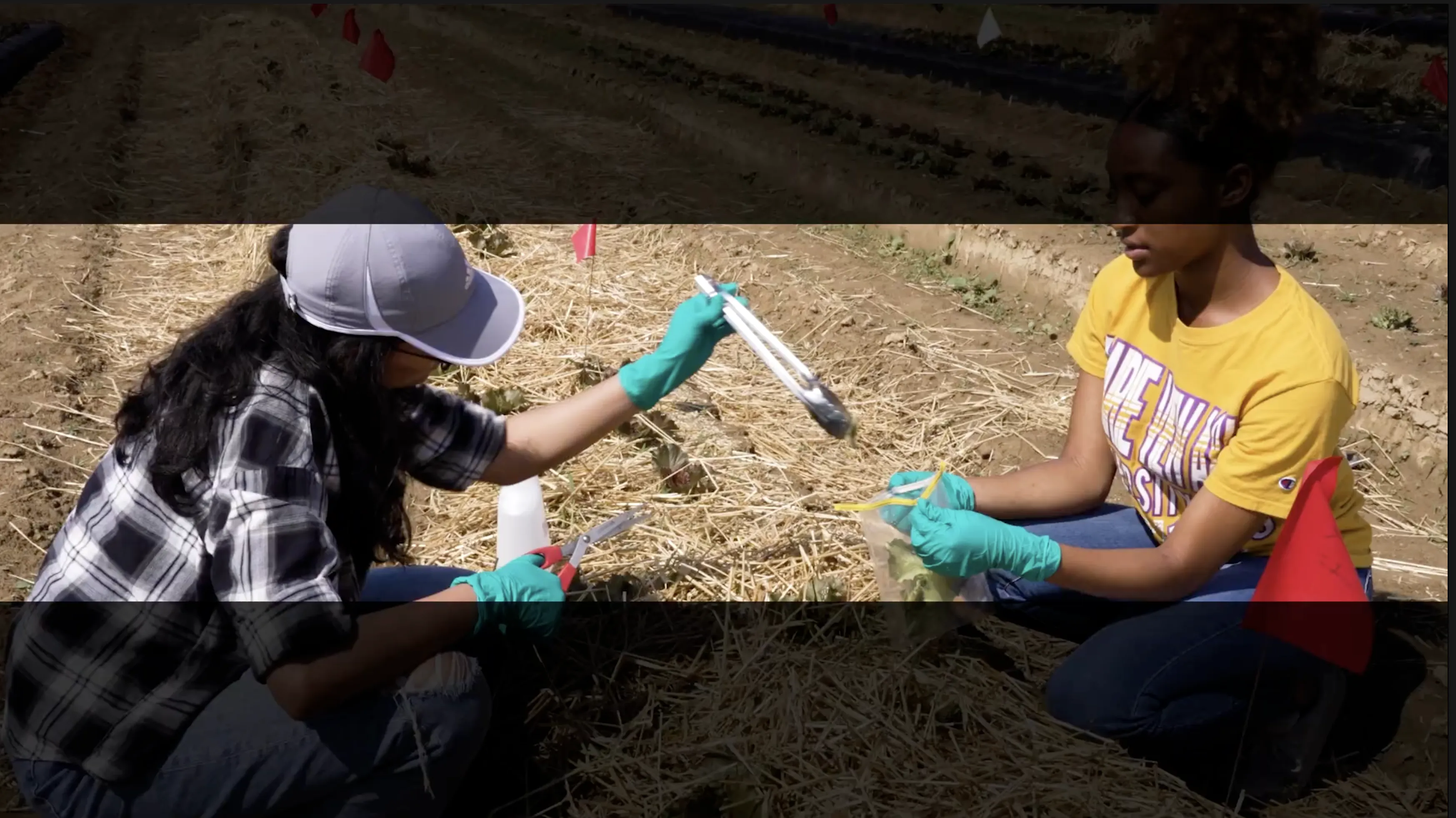 two women collecting agriculture samples